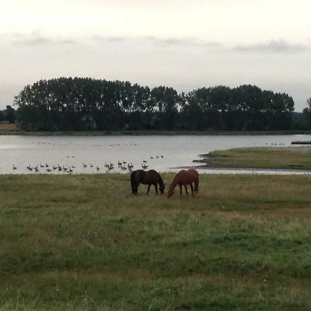 Ostseeblick