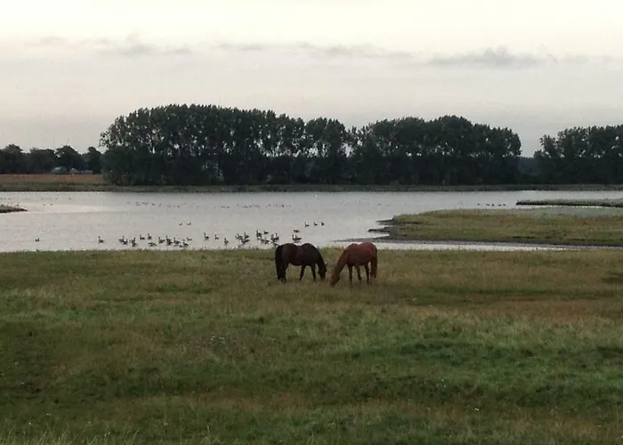 Ostseeblick